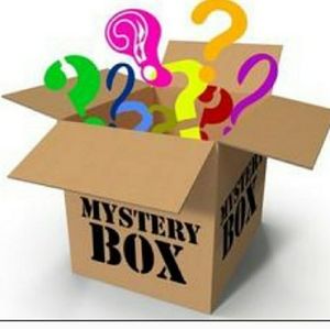 Mystery box worth 100 $ or more